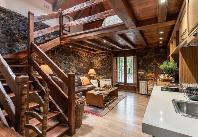 Apartment in Tacoronte - HomeForGuest Cosy rural flat El Romero with large gardens Apartment in Tacoronte - HomeForGuest Cosy rural flat El Romero with large gardens