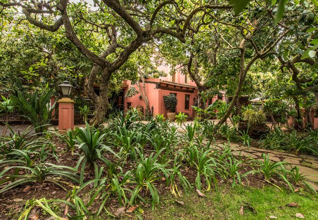 Apartment in Tacoronte - HomeForGuest Cosy rural flat El Romero with large gardens Apartment in Tacoronte - HomeForGuest Cosy rural flat El Romero with large gardens