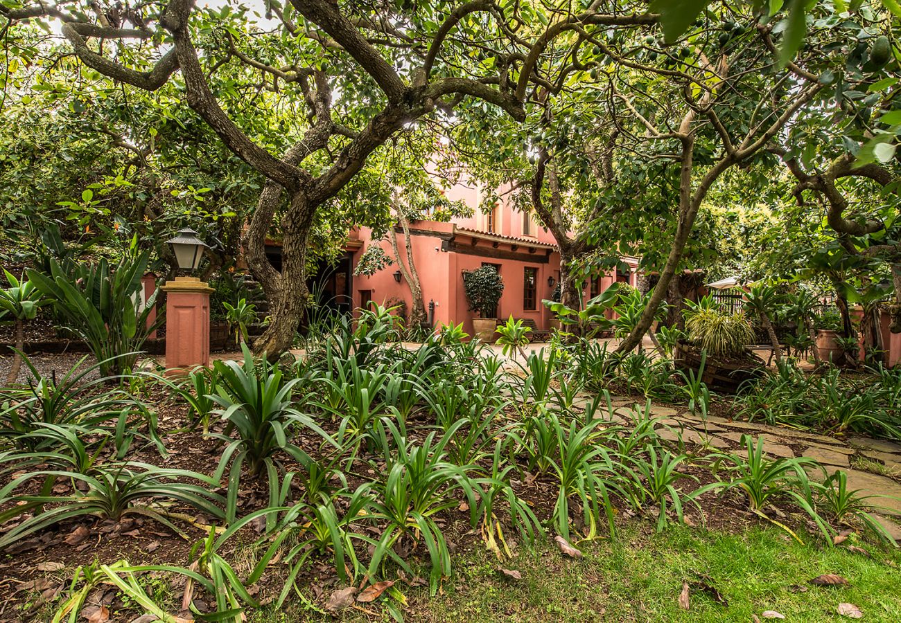 Apartment in Tacoronte - HomeForGuest Cosy rural flat El Romero with large gardens Apartment in Tacoronte - HomeForGuest Cosy rural flat El Romero with large gardens
