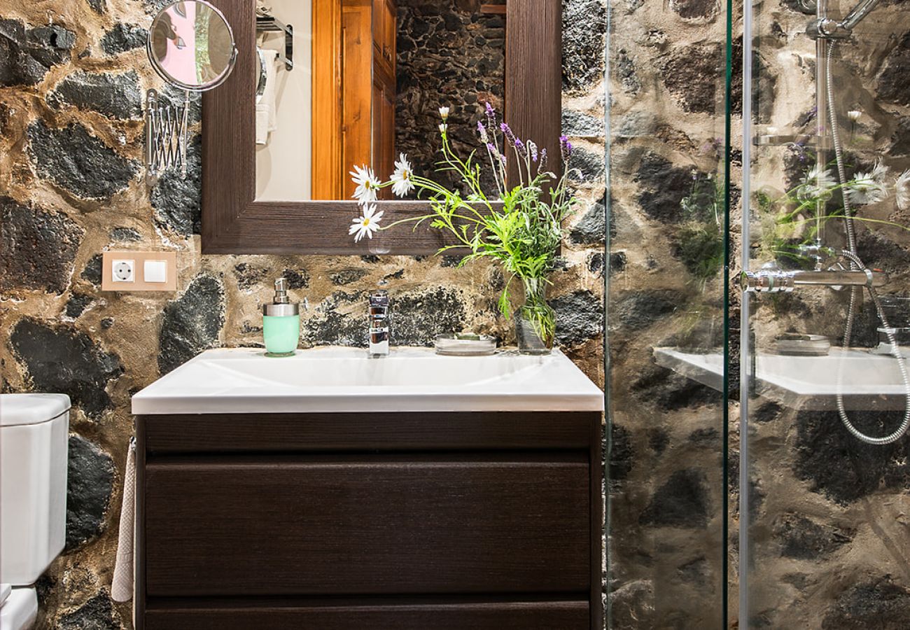 Apartment in Tacoronte - HomeForGuest Cosy rural flat El Romero with large gardens Apartment in Tacoronte - HomeForGuest Cosy rural flat El Romero with large gardens