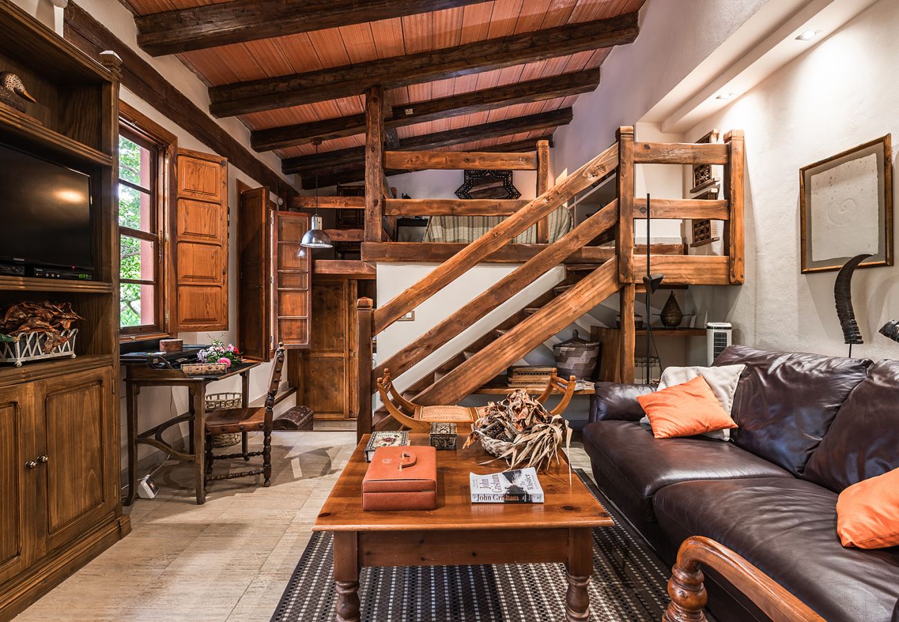 Apartment in Tacoronte - HomeForGuest Cosy rural flat La Lavanda surrounded by nature Apartment in Tacoronte - HomeForGuest Cosy rural flat La Lavanda surrounded by nature