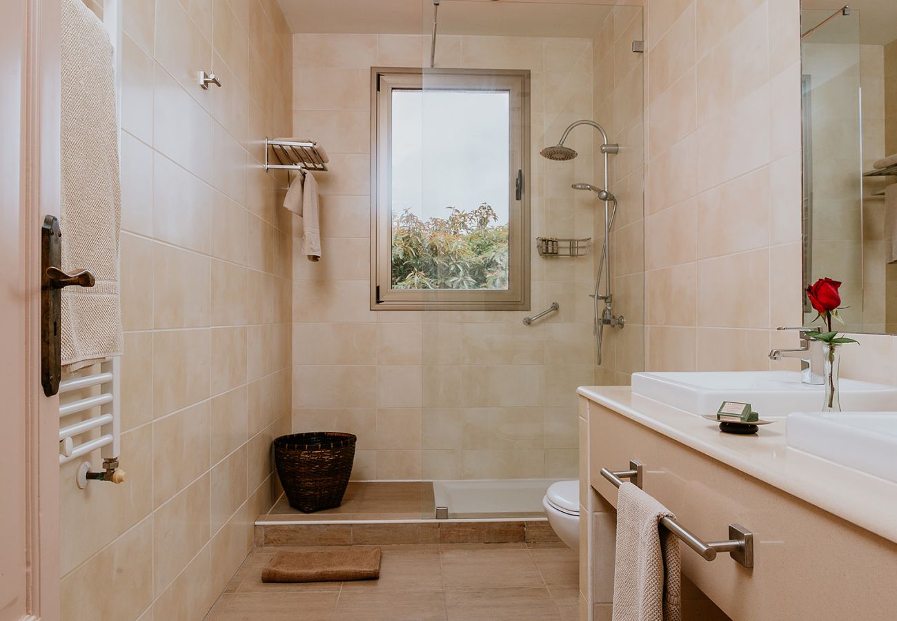 Cottage in Tacoronte - HomeForGuest Rural House El Laurel with terrace and large gardens Cottage in Tacoronte - HomeForGuest Rural House El Laurel with terrace and large gardens