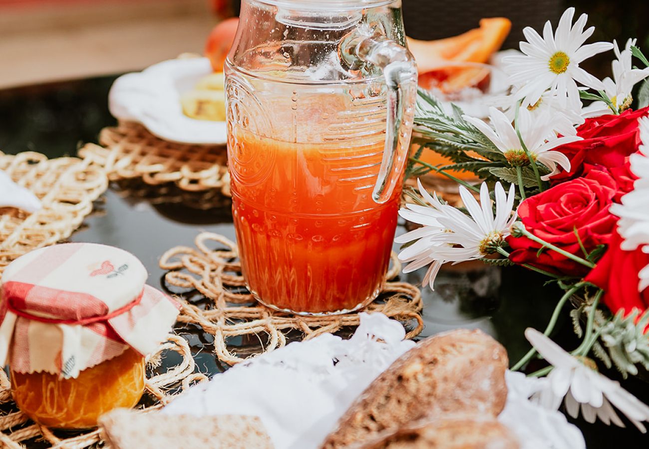 Cottage in Tacoronte - HomeForGuest Rural House El Laurel with terrace and large gardens Cottage in Tacoronte - HomeForGuest Rural House El Laurel with terrace and large gardens