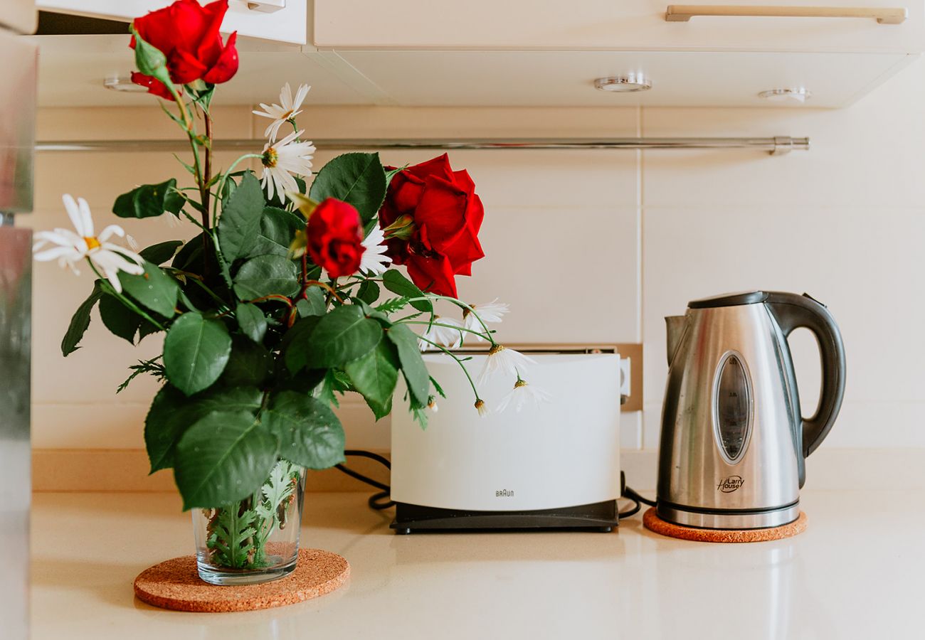 Cottage in Tacoronte - HomeForGuest Rural House El Laurel with terrace and large gardens Cottage in Tacoronte - HomeForGuest Rural House El Laurel with terrace and large gardens