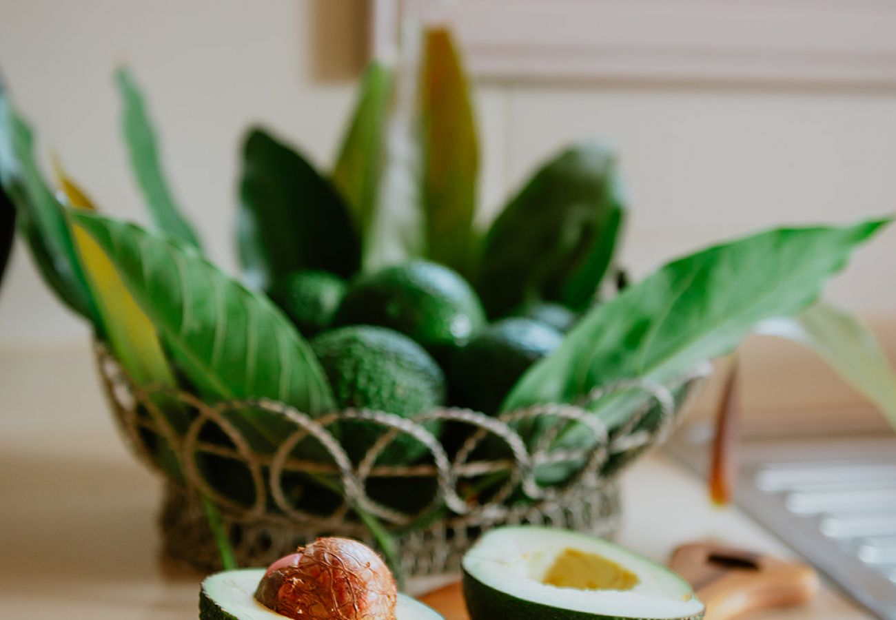 Cottage in Tacoronte - HomeForGuest Rural House El Laurel with terrace and large gardens Cottage in Tacoronte - HomeForGuest Rural House El Laurel with terrace and large gardens