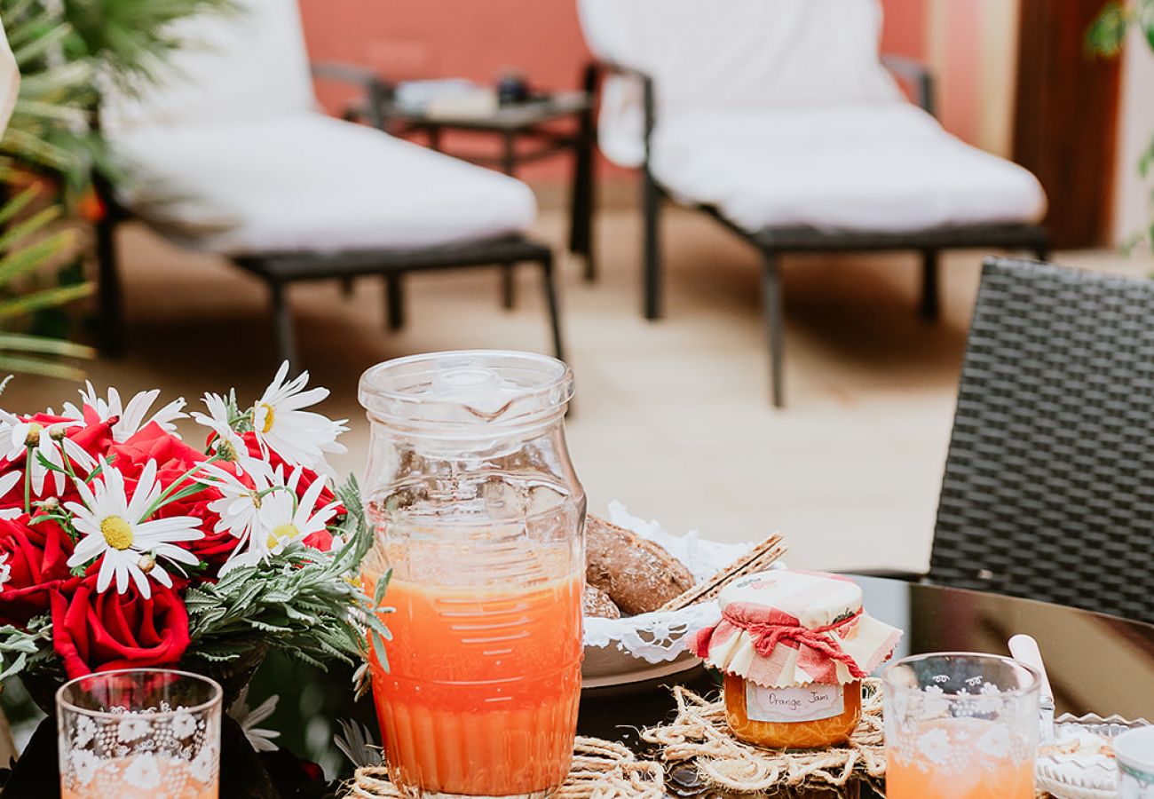 Cottage in Tacoronte - HomeForGuest Rural House El Laurel with terrace and large gardens Cottage in Tacoronte - HomeForGuest Rural House El Laurel with terrace and large gardens