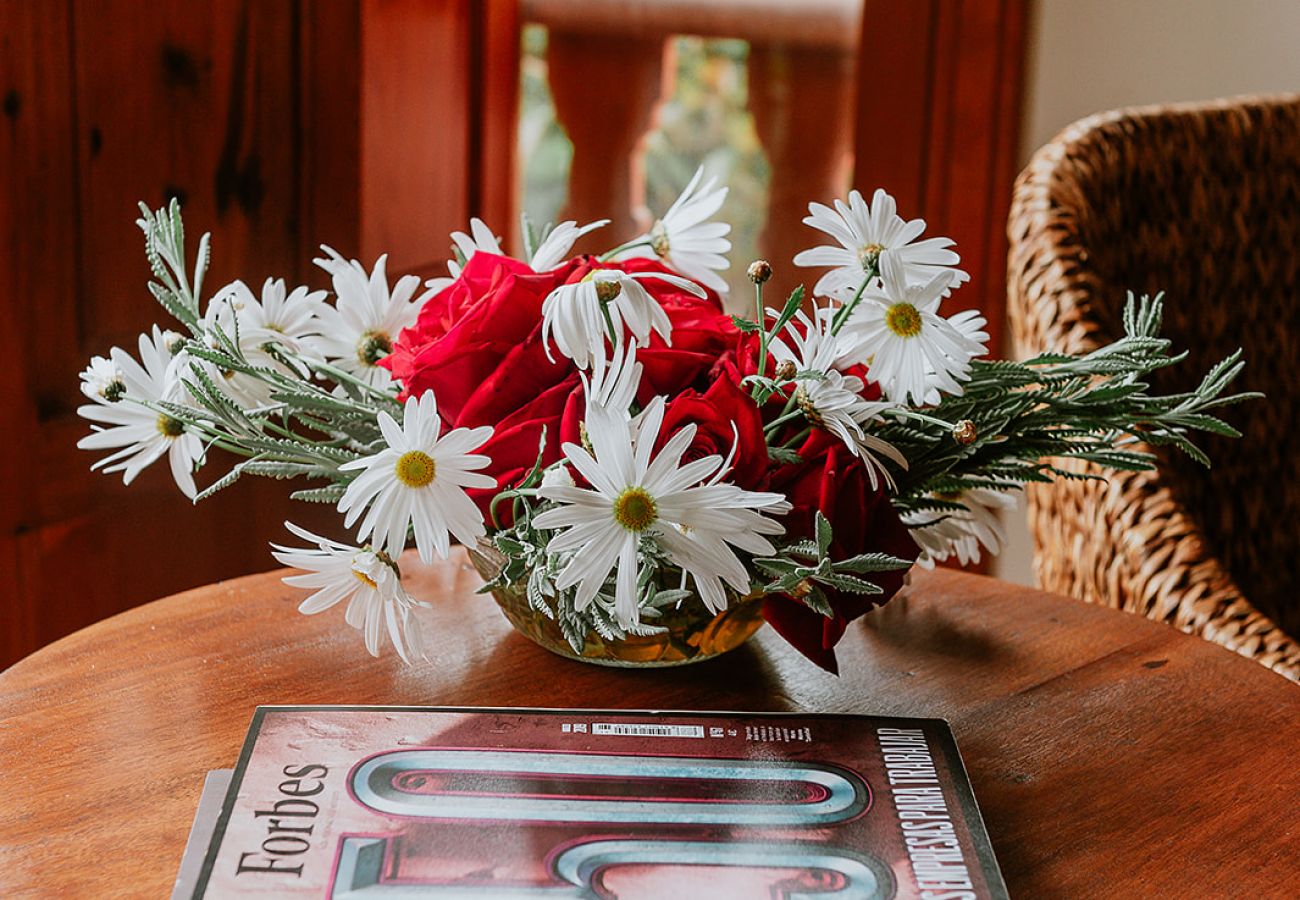 Cottage in Tacoronte - HomeForGuest Rural House El Laurel with terrace and large gardens Cottage in Tacoronte - HomeForGuest Rural House El Laurel with terrace and large gardens