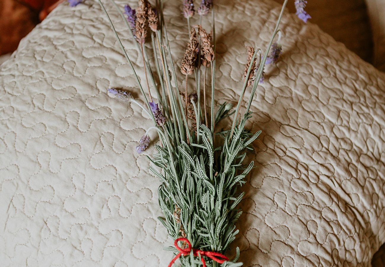 Cottage in Tacoronte - HomeForGuest Rural House El Laurel with terrace and large gardens Cottage in Tacoronte - HomeForGuest Rural House El Laurel with terrace and large gardens