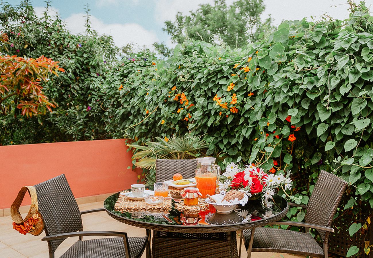 Cottage in Tacoronte - HomeForGuest Rural House El Laurel with terrace and large gardens Cottage in Tacoronte - HomeForGuest Rural House El Laurel with terrace and large gardens