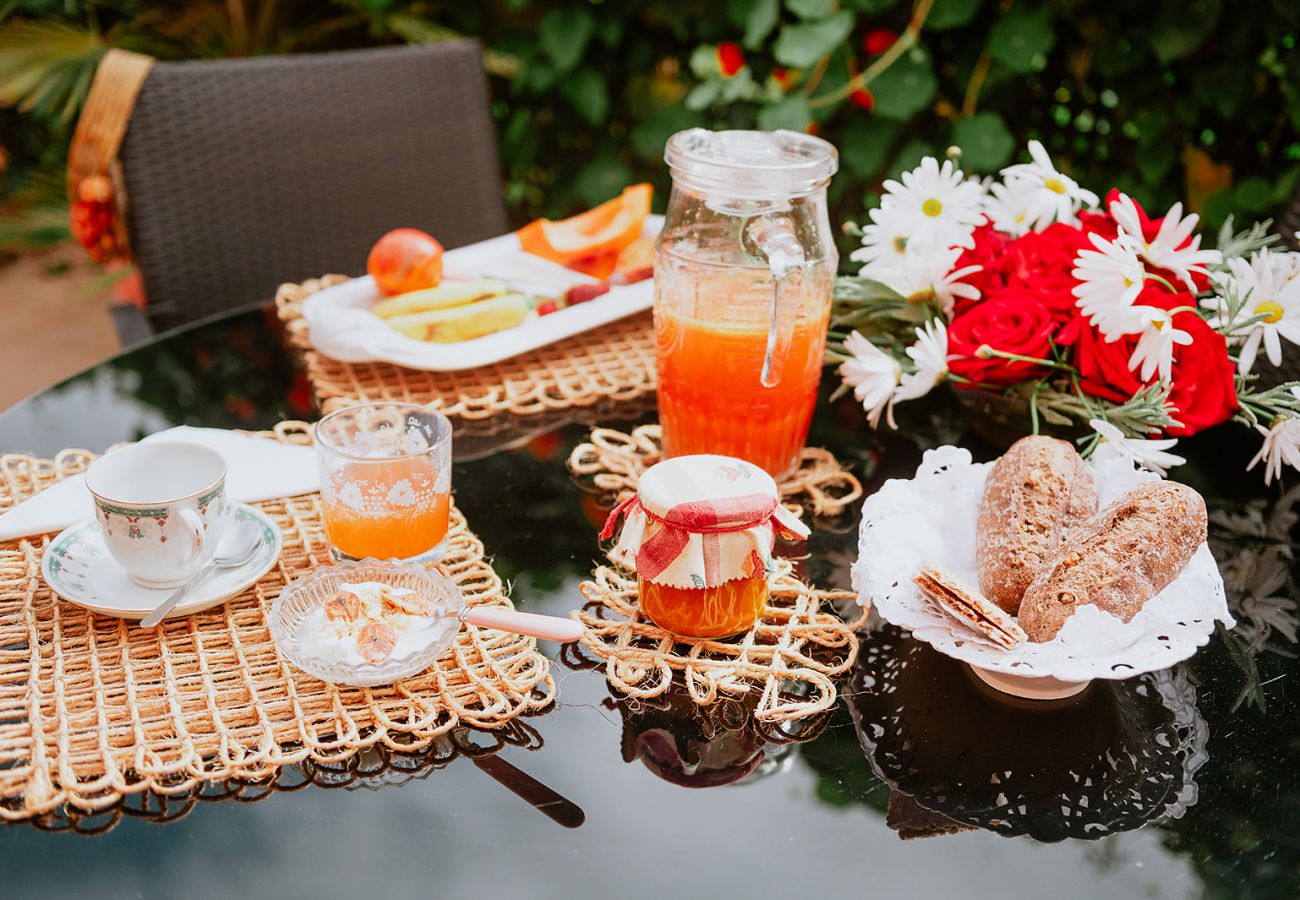 Cottage in Tacoronte - HomeForGuest Rural House El Laurel with terrace and large gardens Cottage in Tacoronte - HomeForGuest Rural House El Laurel with terrace and large gardens