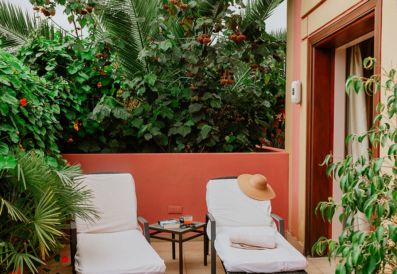 Cottage in Tacoronte - HomeForGuest Rural House El Laurel with terrace and large gardens Cottage in Tacoronte - HomeForGuest Rural House El Laurel with terrace and large gardens