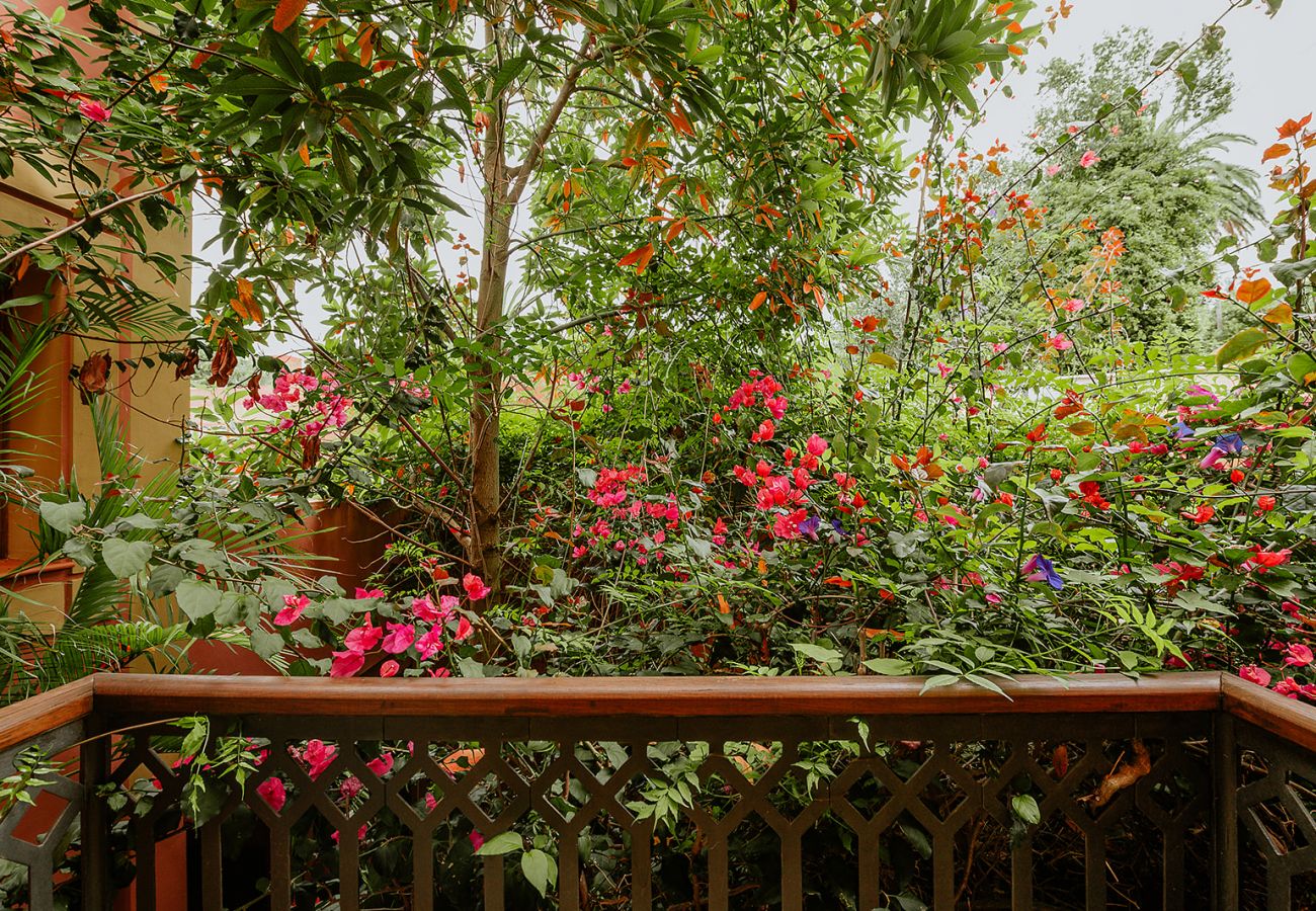 Cottage in Tacoronte - HomeForGuest Rural House El Laurel with terrace and large gardens Cottage in Tacoronte - HomeForGuest Rural House El Laurel with terrace and large gardens