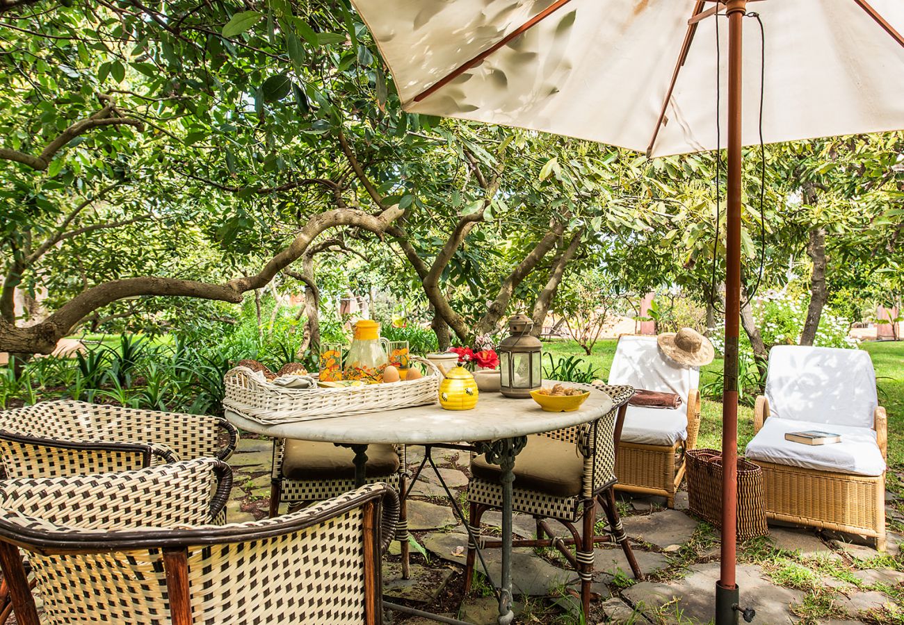 Cottage in Tacoronte - HomeForGuest Rural House El Laurel with terrace and large gardens Cottage in Tacoronte - HomeForGuest Rural House El Laurel with terrace and large gardens