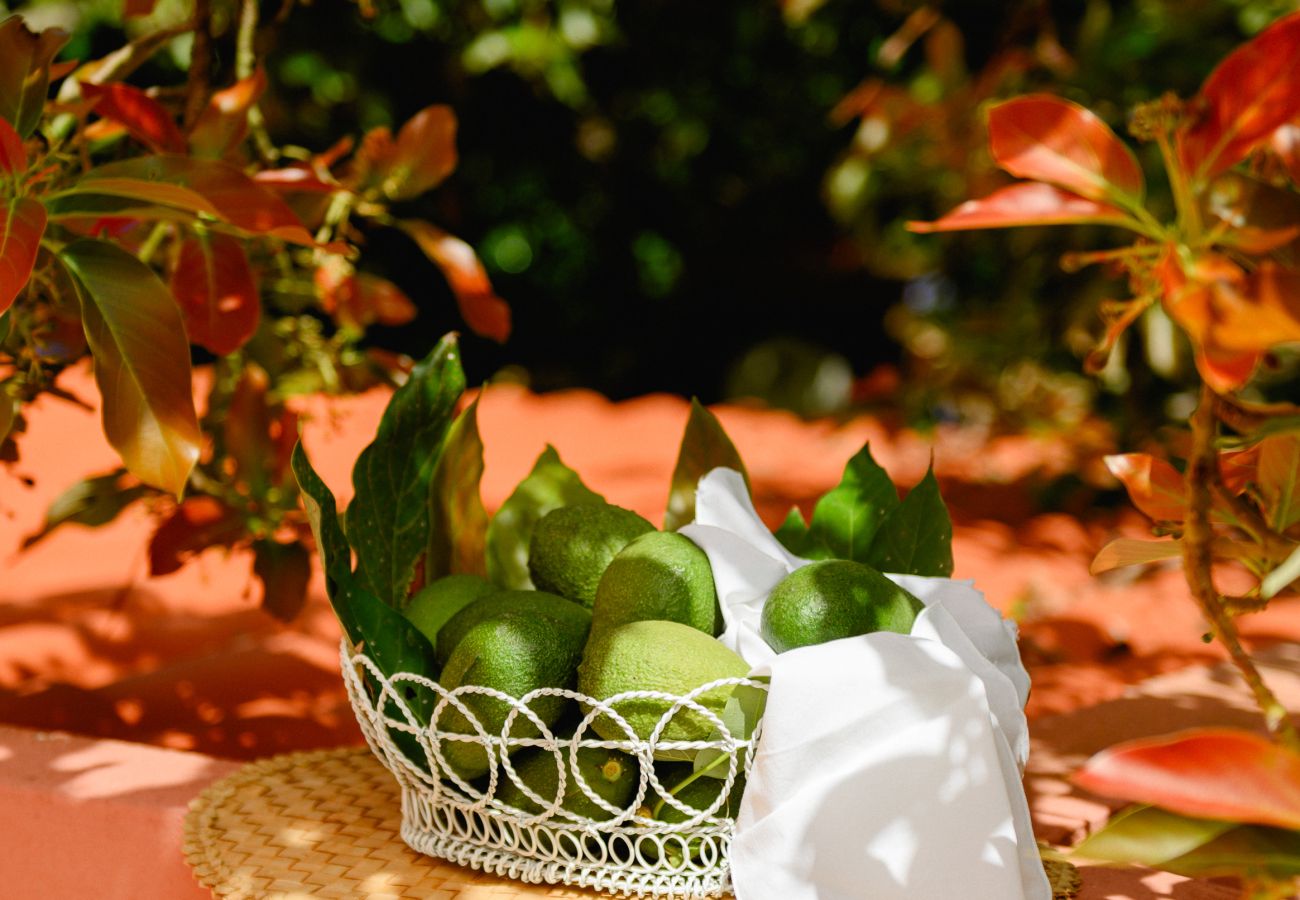 Cottage in Tacoronte - HomeForGuest Rural House El Laurel with terrace and large gardens Cottage in Tacoronte - HomeForGuest Rural House El Laurel with terrace and large gardens