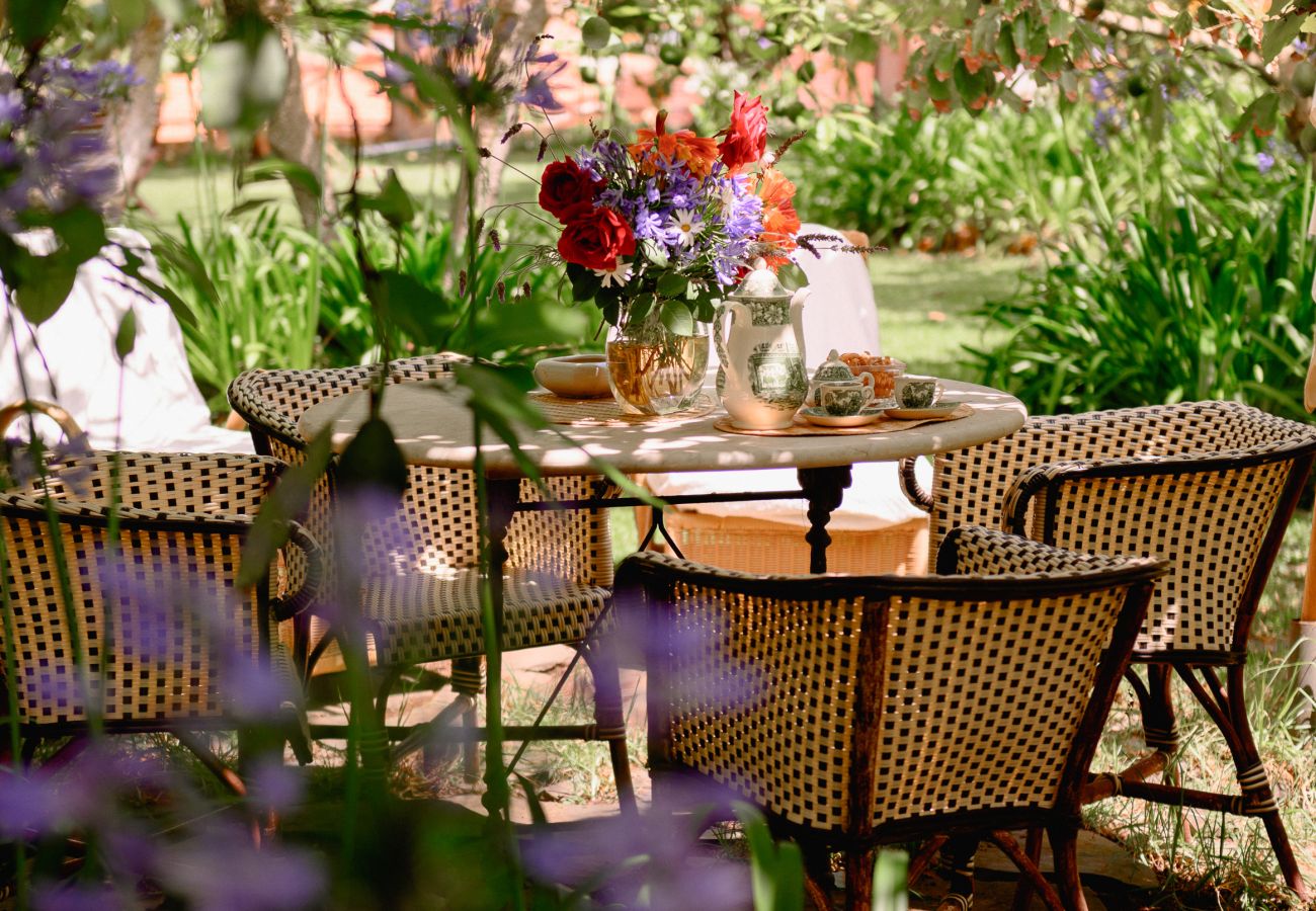 Cottage in Tacoronte - HomeForGuest Rural House El Laurel with terrace and large gardens Cottage in Tacoronte - HomeForGuest Rural House El Laurel with terrace and large gardens