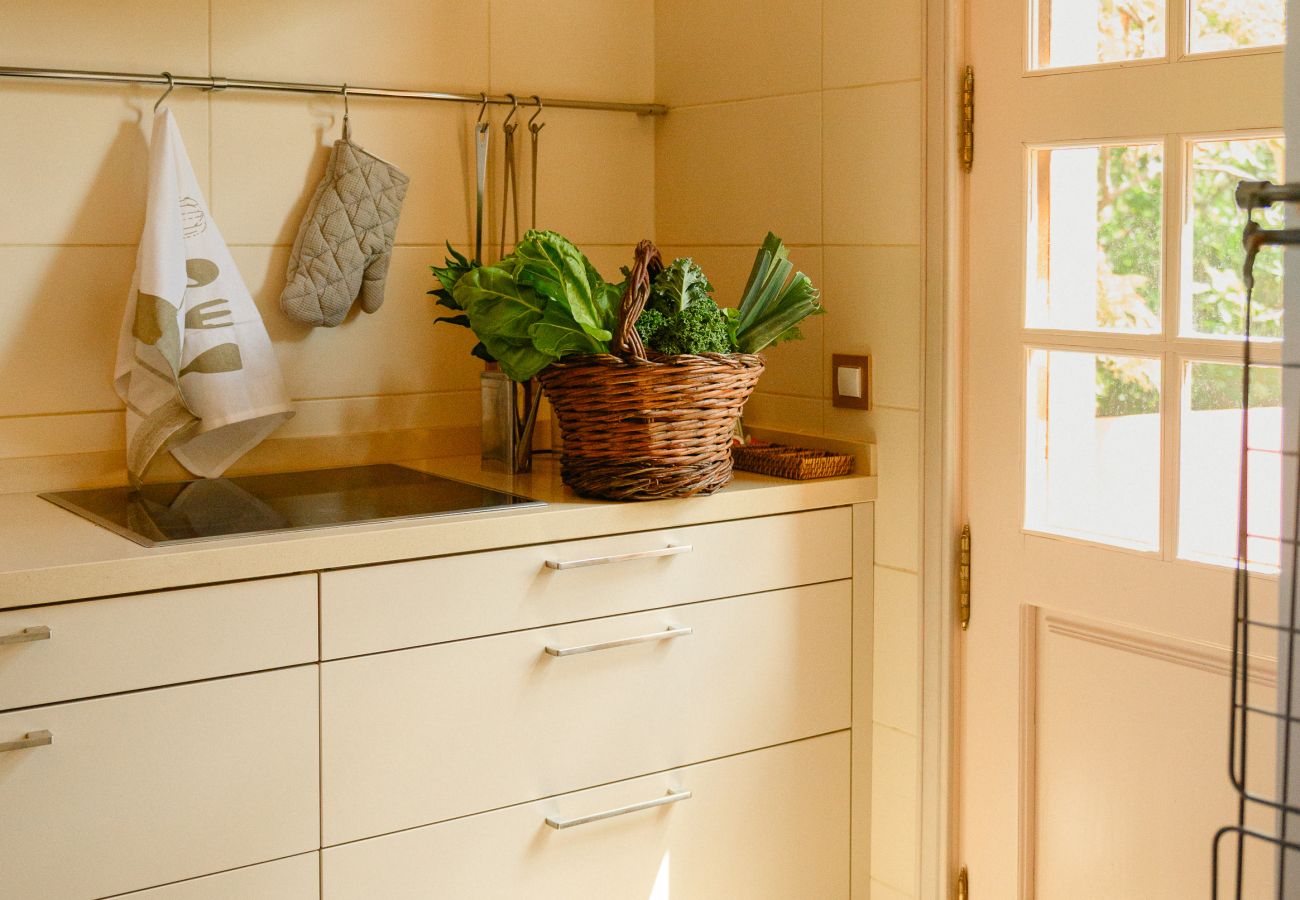 Cottage in Tacoronte - HomeForGuest Rural House El Laurel with terrace and large gardens Cottage in Tacoronte - HomeForGuest Rural House El Laurel with terrace and large gardens