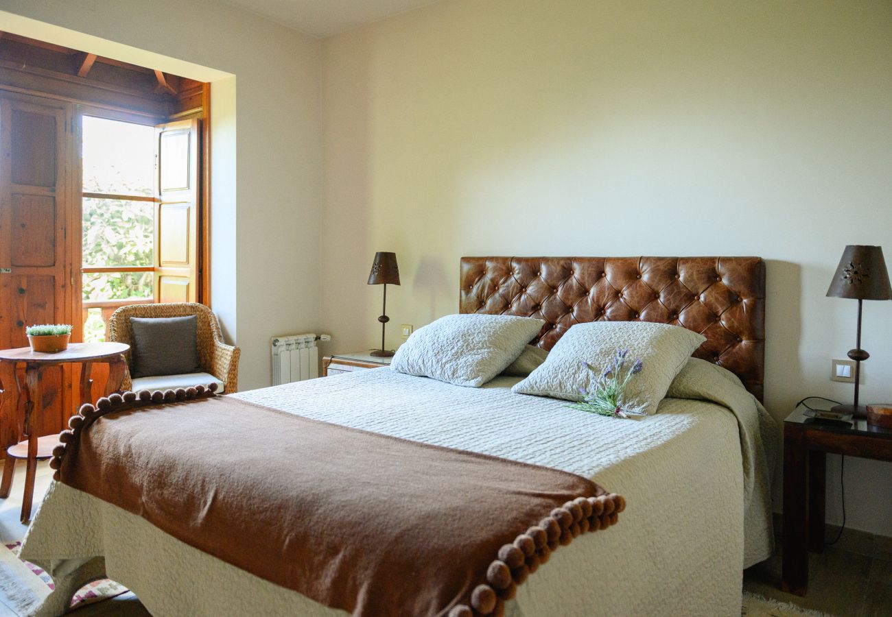 Cottage in Tacoronte - HomeForGuest Rural House El Laurel with terrace and large gardens Cottage in Tacoronte - HomeForGuest Rural House El Laurel with terrace and large gardens