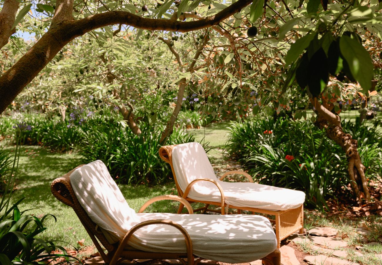 Cottage in Tacoronte - HomeForGuest Rural House El Laurel with terrace and large gardens Cottage in Tacoronte - HomeForGuest Rural House El Laurel with terrace and large gardens