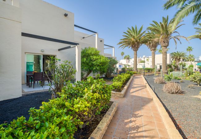 Apartment in Corralejo - Modern apartment. Swimming pool and beachfront. Corralejo  Apartment in Corralejo - Modern apartment. Swimming pool and beachfront. Corralejo