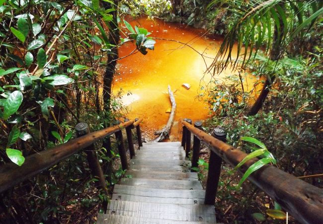 Apartment in Conceição da Ibitipoca - NOVO: Aconchegante chalé em Lima Duarte/MG Apartment in Conceição da Ibitipoca - NOVO: Aconchegante chalé em Lima Duarte/MG