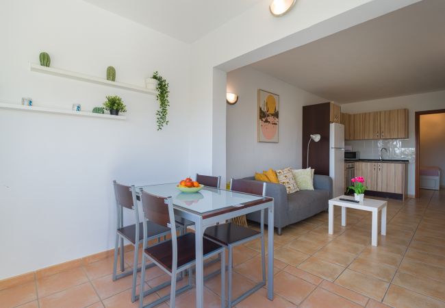 Apartment in Antigua - Fuerteventura - HomeForGuest Spacious flat with terrace and swimming pool Apartment in Antigua - Fuerteventura - HomeForGuest Spacious flat with terrace and swimming pool