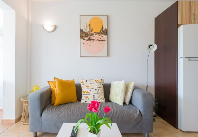 Apartment in Antigua - Fuerteventura - HomeForGuest Spacious flat with terrace and swimming pool Apartment in Antigua - Fuerteventura - HomeForGuest Spacious flat with terrace and swimming pool