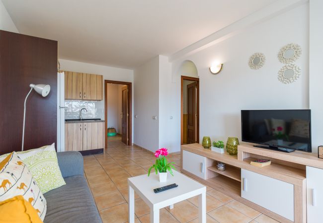 Apartment in Antigua - Fuerteventura - HomeForGuest Spacious flat with terrace and swimming pool Apartment in Antigua - Fuerteventura - HomeForGuest Spacious flat with terrace and swimming pool