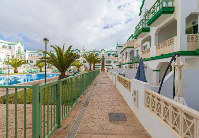 Apartment in Antigua - Fuerteventura - HomeForGuest Spacious flat with terrace and swimming pool Apartment in Antigua - Fuerteventura - HomeForGuest Spacious flat with terrace and swimming pool