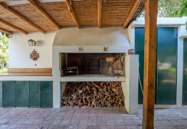 House in Luján de Cuyo - Tradicional Casona de época, con desayuno House in Luján de Cuyo - Tradicional Casona de época, con desayuno