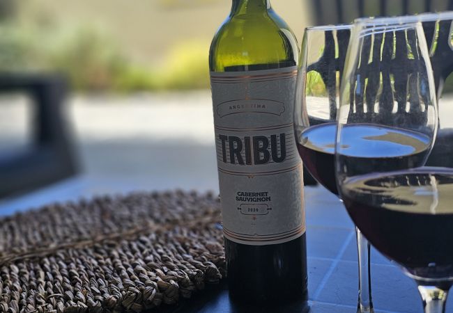 House in Luján de Cuyo - Moderno y amplio en complejo privado, con cochera House in Luján de Cuyo - Moderno y amplio en complejo privado, con cochera