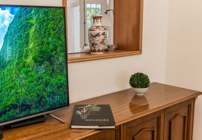 House in Mendoza - Casa Magnolia House in Mendoza - Casa Magnolia