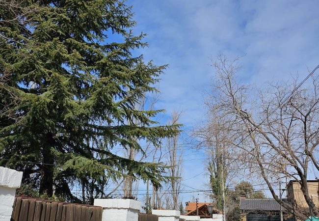 House in Luján de Cuyo -  Amplia y cálida rodeada de verde con seguridad House in Luján de Cuyo -  Amplia y cálida rodeada de verde con seguridad