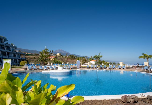 Apartment in Santa Ursula - Cosy flat with sea views in Santa Ursula Apartment in Santa Ursula - Cosy flat with sea views in Santa Ursula