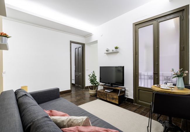  in Madrid - Cozy apartment in the center of Madrid M (PDJ6)
