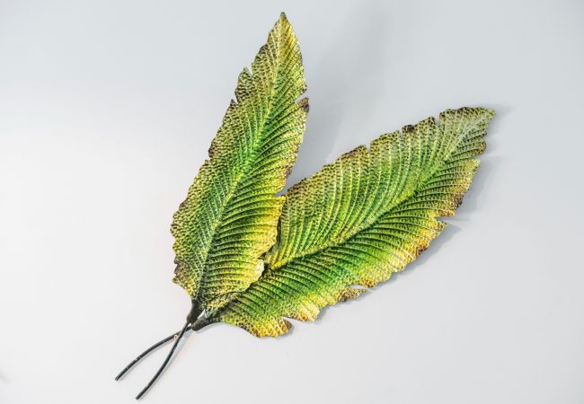 Apartment in Santa Cruz de Tenerife - Jardín: cómodo y luminoso apartamento Apartment in Santa Cruz de Tenerife - Jardín: cómodo y luminoso apartamento