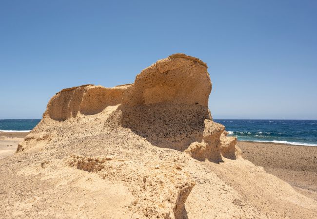Apartment in Arico - Bonito apartamento a 100 m de la playa Apartment in Arico - Bonito apartamento a 100 m de la playa