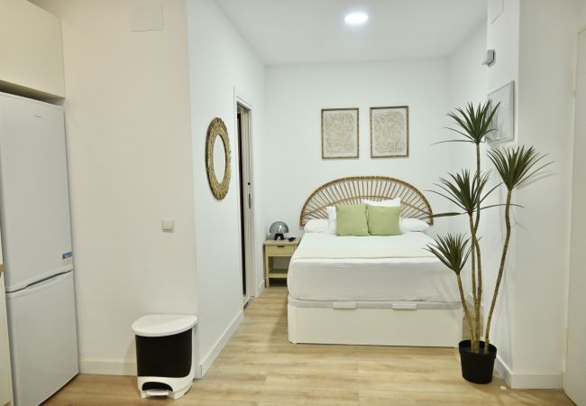  in Madrid - Estudio Acogedor con Cama Doble y Sofá Cama Cerca de la Animada Avenida Albufera MPE35I