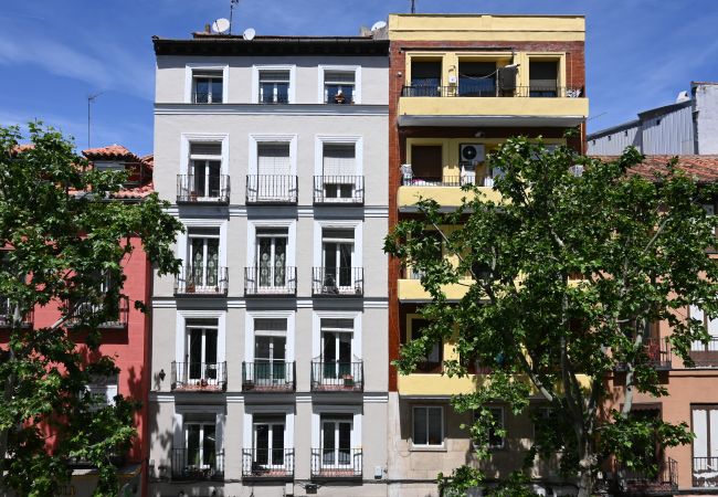 Studio in Madrid - Central and Bright Apartment in Madrid  Studio in Madrid - Central and Bright Apartment in Madrid