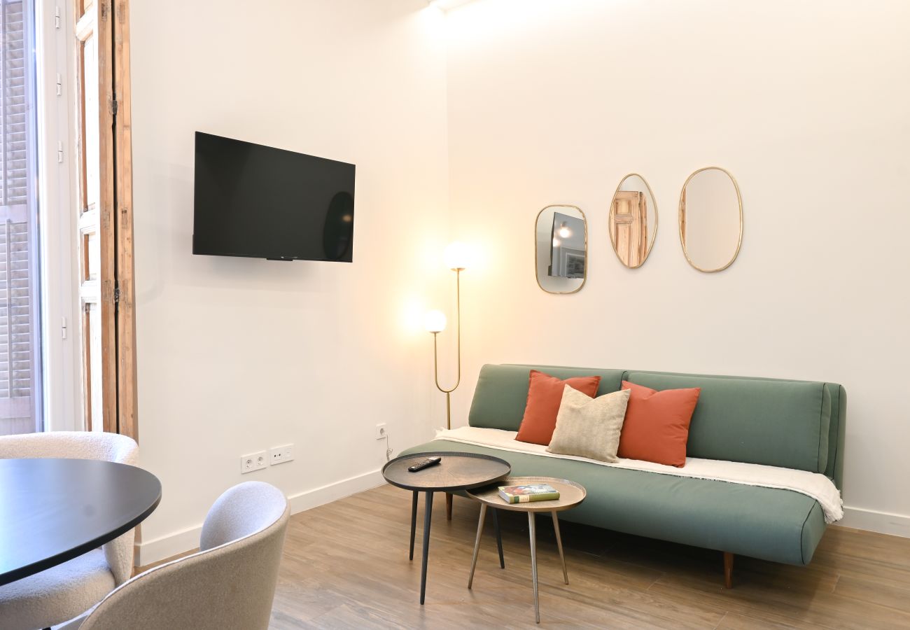 Studio in Madrid - Central and Bright Apartment in Madrid  Studio in Madrid - Central and Bright Apartment in Madrid