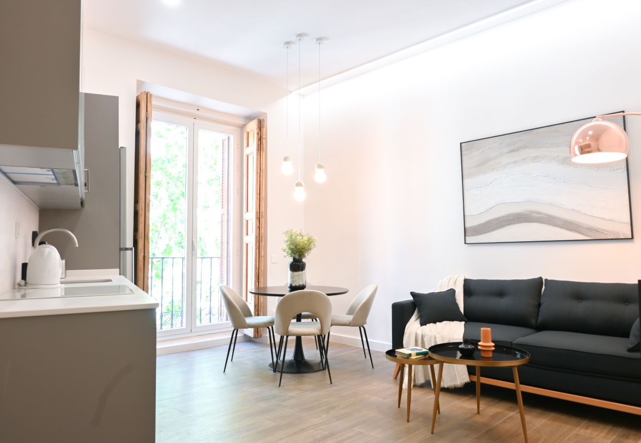 Studio in Madrid - Central and Bright Duplex Studio in Madrid  Studio in Madrid - Central and Bright Duplex Studio in Madrid