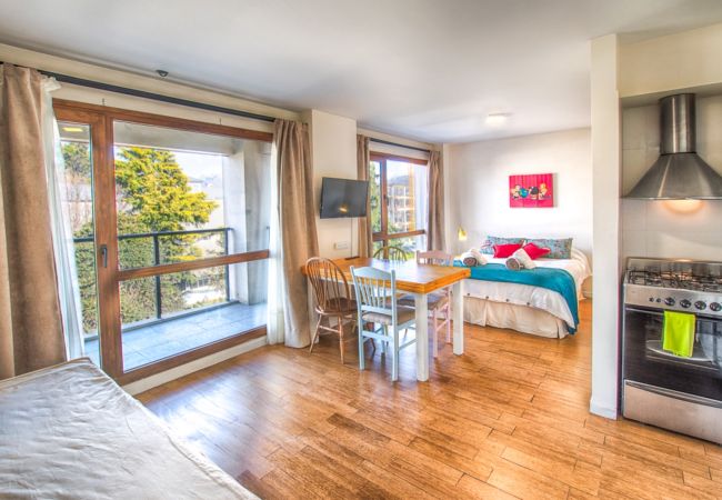 Studio in San Carlos de Bariloche - Mafalda flat central and well comunication area in Bariloche Studio in San Carlos de Bariloche - Mafalda flat central and well comunication area in Bariloche
