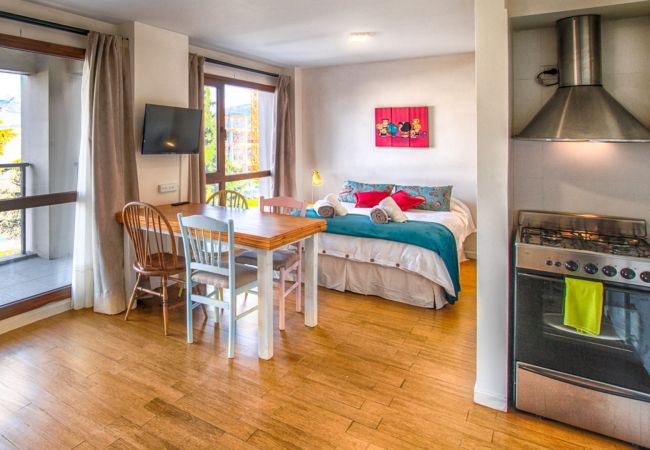  in San Carlos de Bariloche - Mafalda flat central and well comunication area in Bariloche