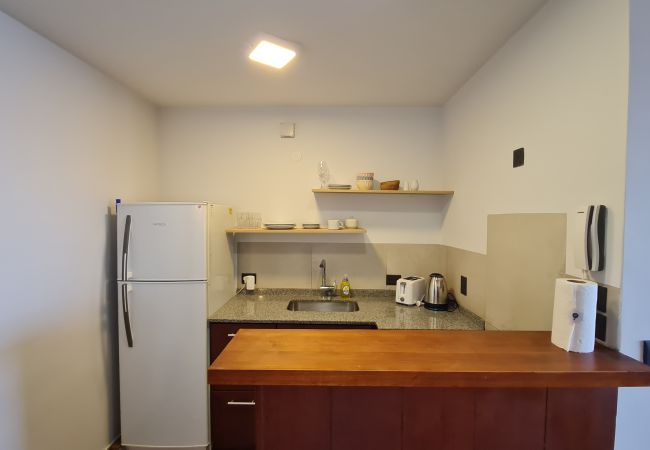 Studio in San Carlos de Bariloche - Swiss IV flat with an impressive Nahuel Huapi lake view Studio in San Carlos de Bariloche - Swiss IV flat with an impressive Nahuel Huapi lake view