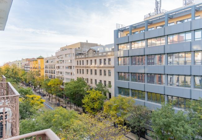 Apartment in Madrid - Elegant and Charming Charming Apartment in Salamanca	 Apartment in Madrid - Elegant and Charming Charming Apartment in Salamanca