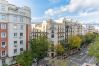 Apartment in Madrid - Elegant and Charming Charming Apartment in Salamanca	 Apartment in Madrid - Elegant and Charming Charming Apartment in Salamanca