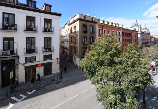 Apartment in Madrid - Charm and comfort in the heart of Madrid  Apartment in Madrid - Charm and comfort in the heart of Madrid