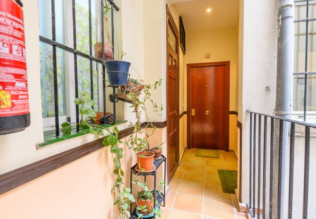 Apartment in Madrid - Cosy 1-bedroom flat a few metres from the city centre    Apartment in Madrid - Cosy 1-bedroom flat a few metres from the city centre
