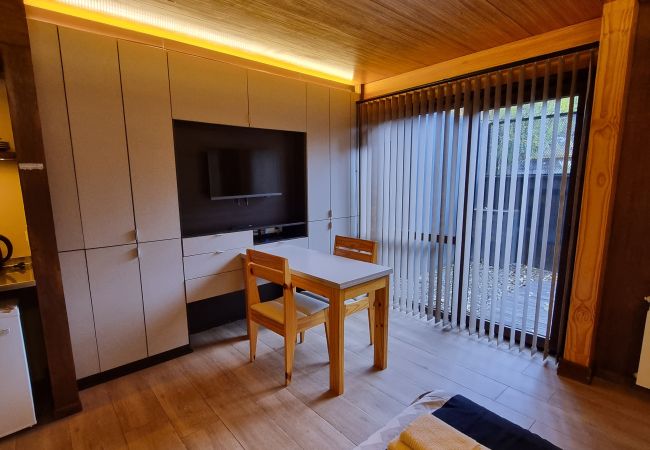 Studio in San Martin de los Andes - Vivero 1 Depto 2 - Andarlibre Studio in San Martin de los Andes - Vivero 1 Depto 2 - Andarlibre