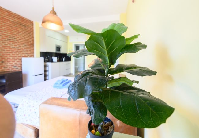 Studio in Madrid - Studio with balcony - Everything you need for a perfect stay in Madrid Studio in Madrid - Studio with balcony - Everything you need for a perfect stay in Madrid