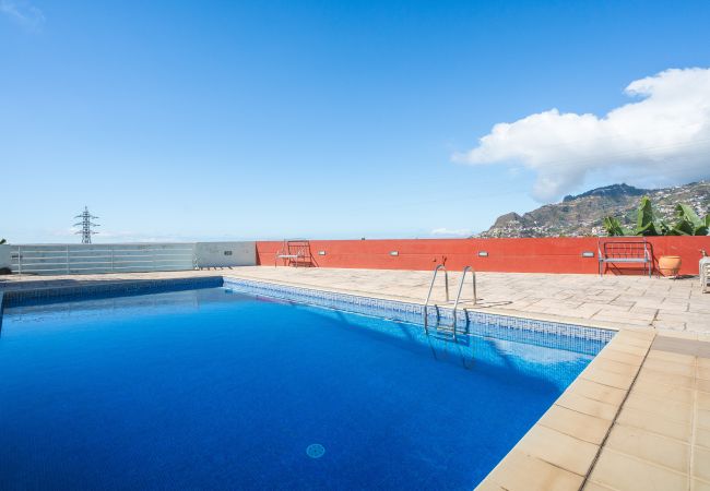 Apartment in Câmara de Lobos - Pitanga by Atlantic Holiday
